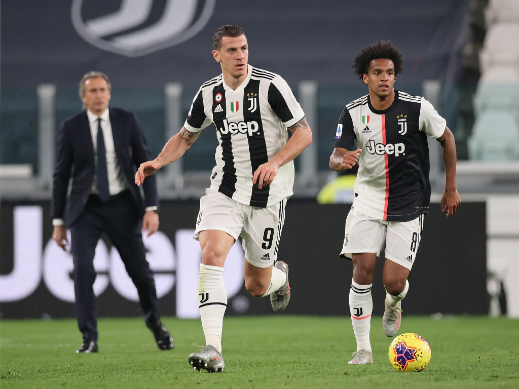 或许才是巴 或许才是巴